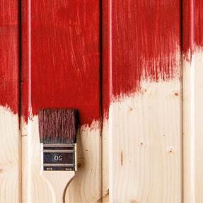 Throw Away Brushes
